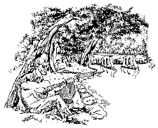 Fox Valley Folk Festival